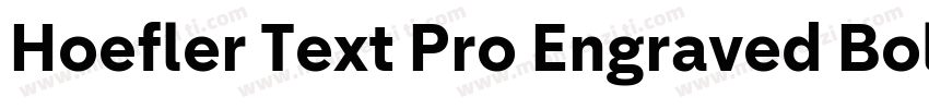 Hoefler Text Pro Engraved Bold字体转换